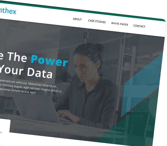 Design and Development of DataSynthex
